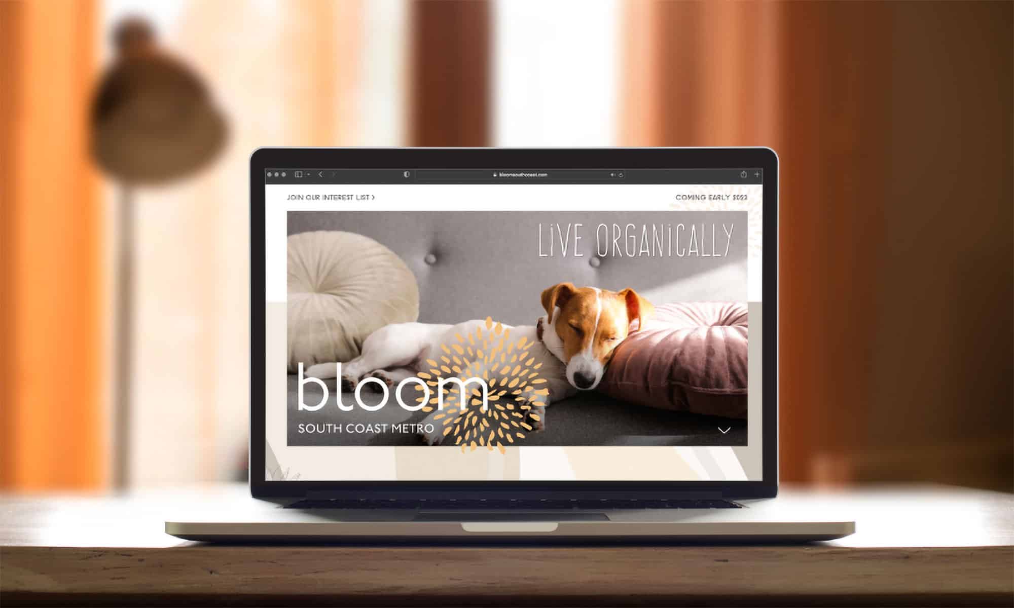 Bloom News - New Website is Live!