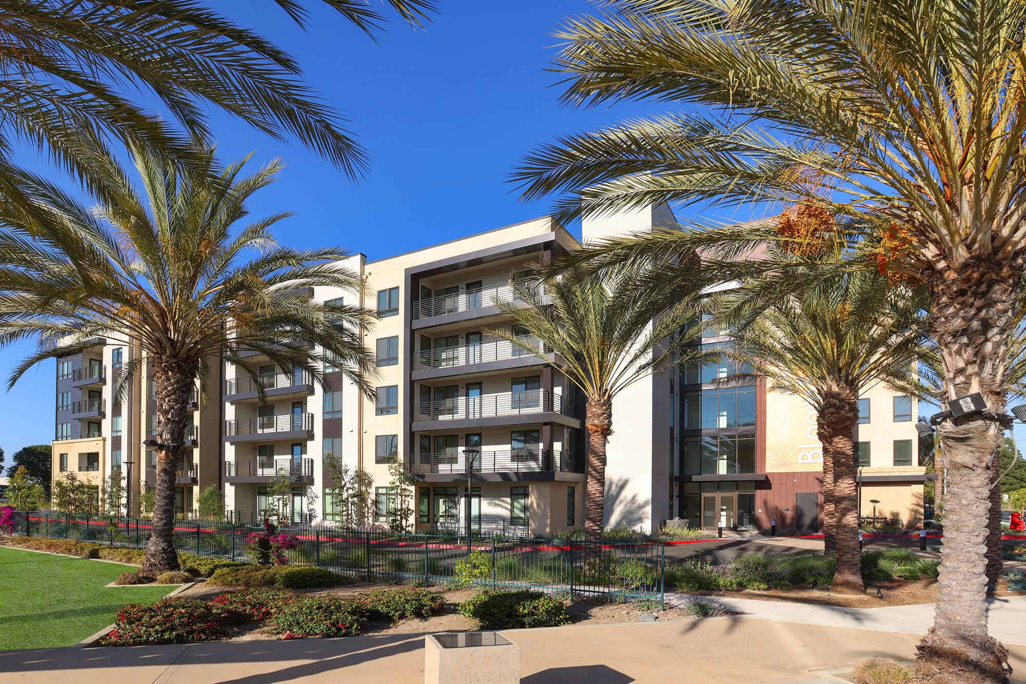 A view of the buildings within Bloom South Coast framed by towering palm trees