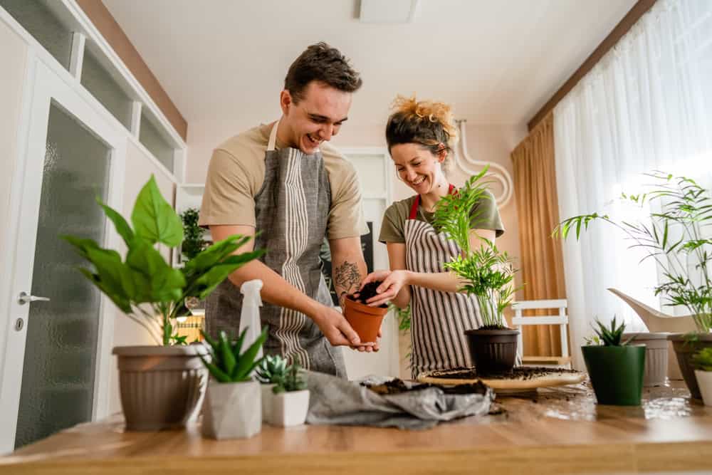man and woman planting flowers in their apartment