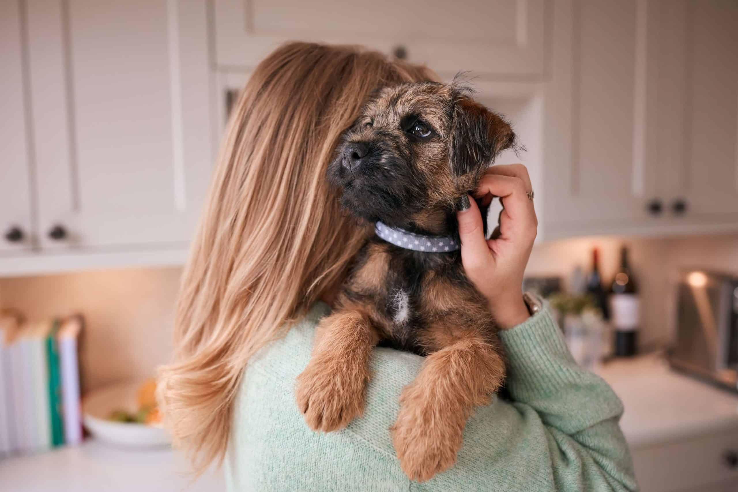 Woman holding a small brown dog.